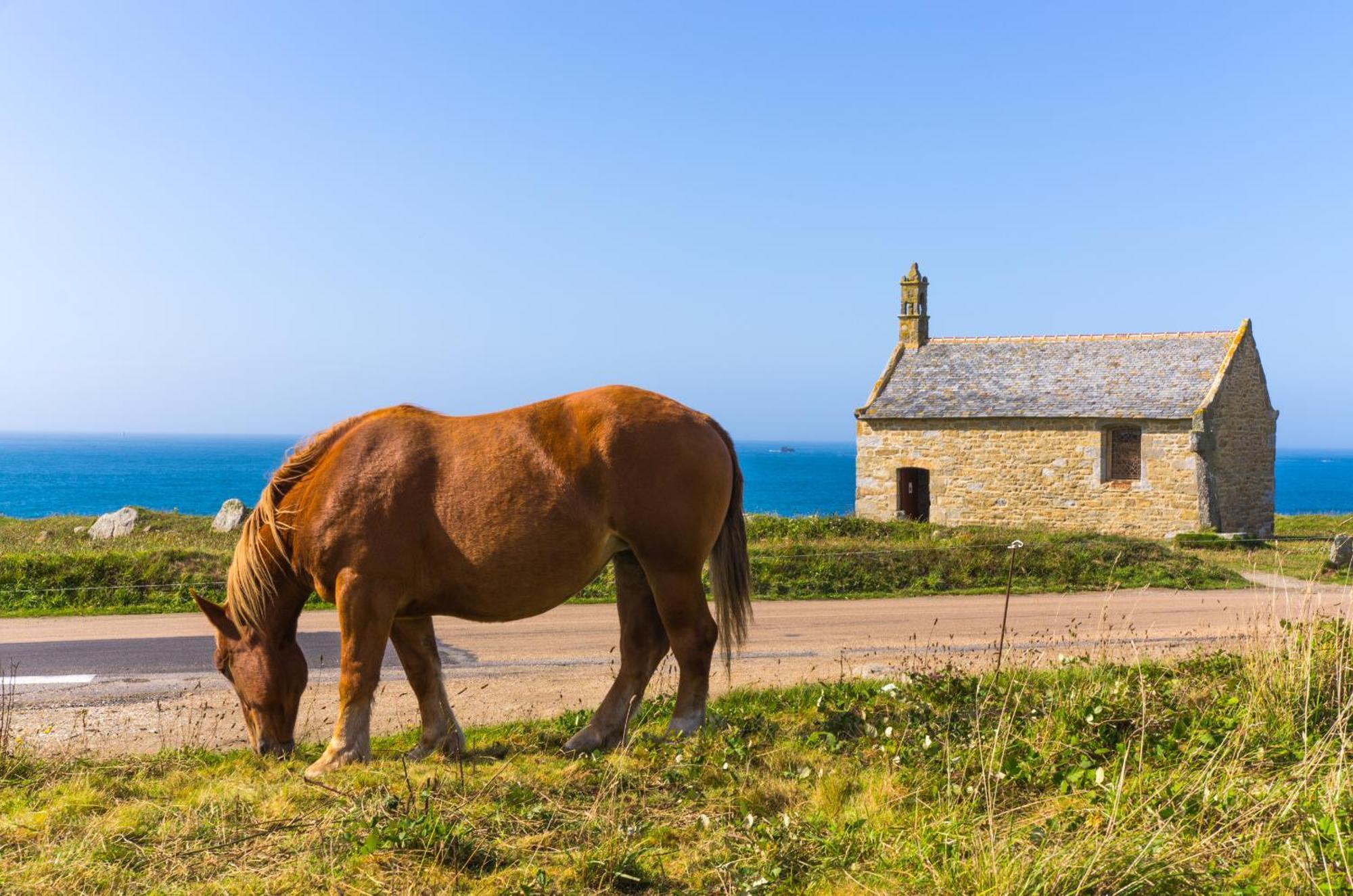 Ty Raok - Jolie Maison A Lilia A 200M De La Mer Villa Plouguerneau Buitenkant foto